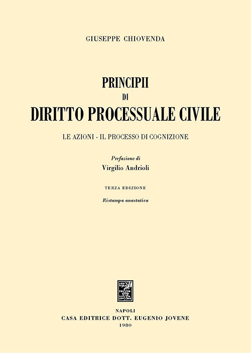 Principii di diritto processuale civile.