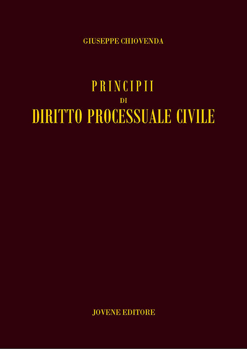 Principii di diritto processuale civile