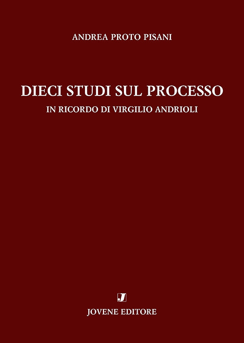 Dieci studi sul processo.