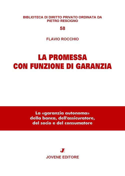 La promessa con funzione di garanzia.