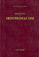 Principii di diritto processuale civile