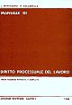 Manuale di diritto processuale del lavoro.